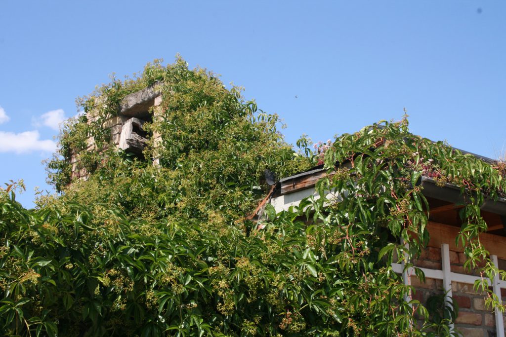 Bauhauptleistungen Baugeschäft Winter